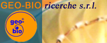 Logo Geo-Bio richerche